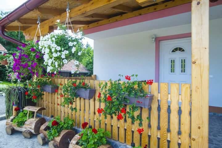 Guesthouse Ella 슬루니 외부 사진
